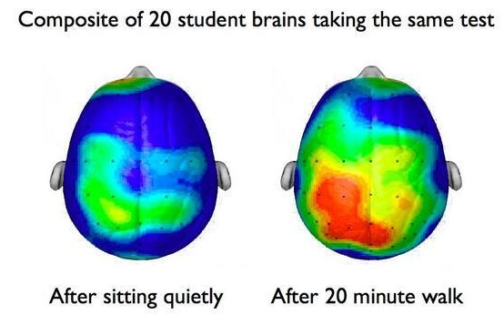 تاثیر حرکت بدنی بر فعالیت مغز